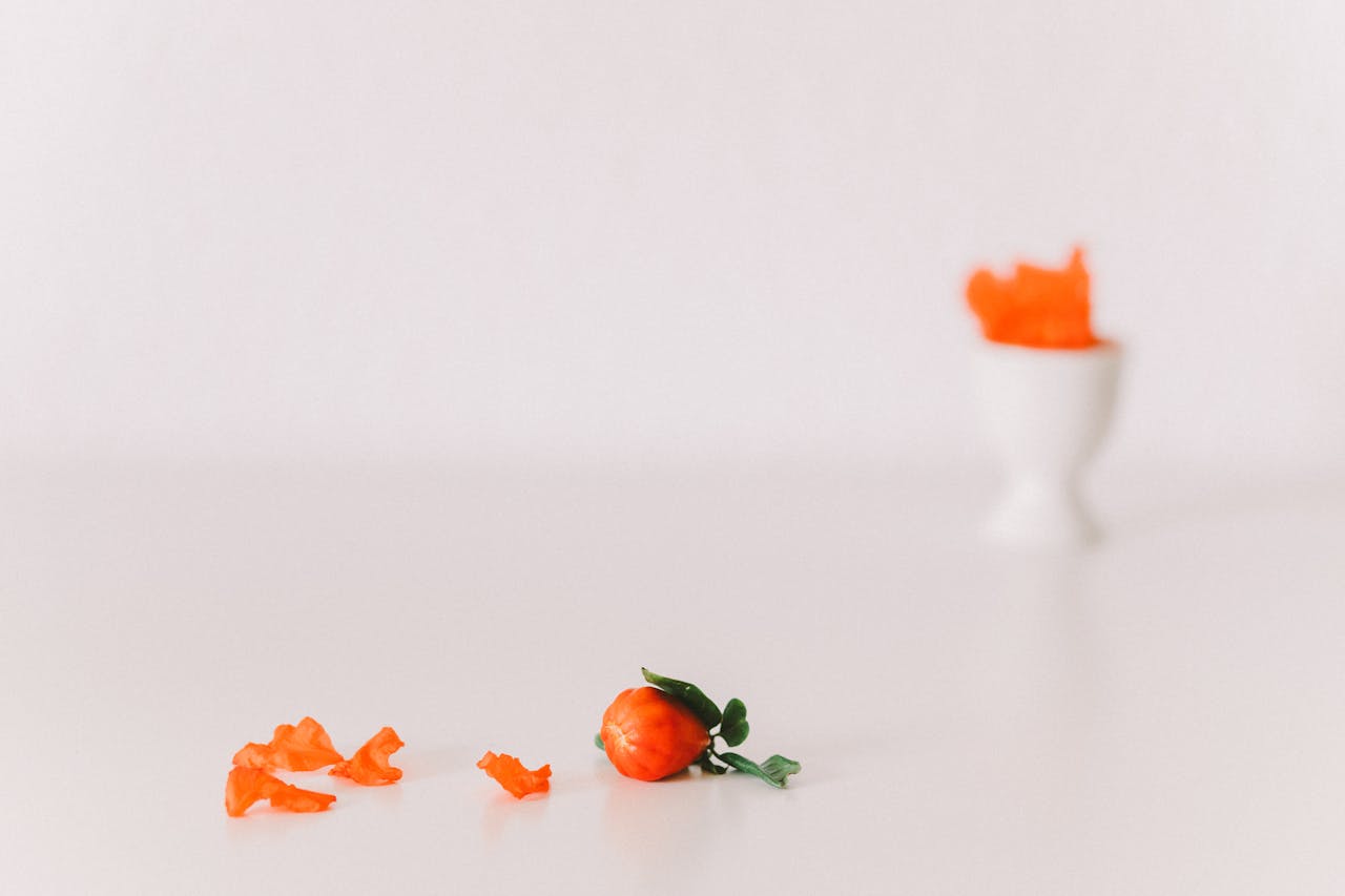 A serene minimalist still life featuring a single red habanero pepper and petals with a white soft background.