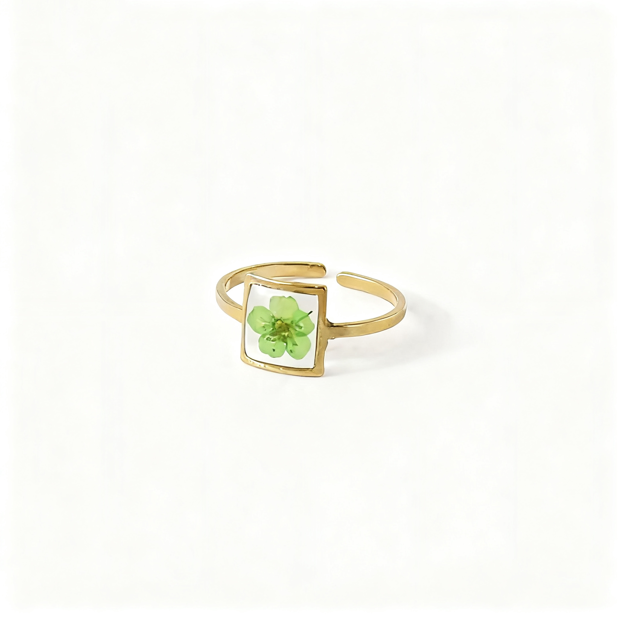 白底图·绿 白底图·绿