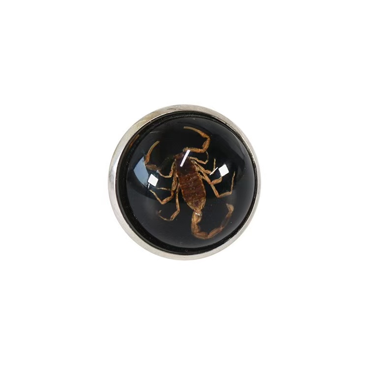 scorpion resin dome ring real scorpion inside scorpion resin dome ring real scorpion inside